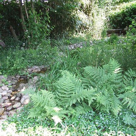 B&B 'T Nije Huus Schoonoord Luaran gambar