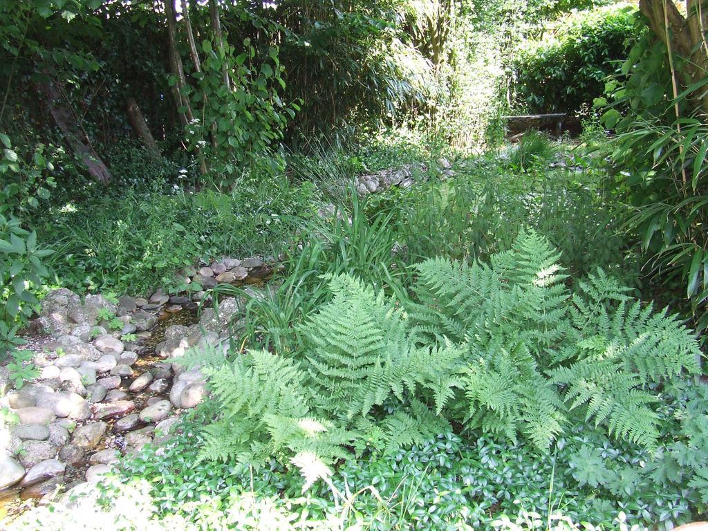 B&B 'T Nije Huus Schoonoord Luaran gambar